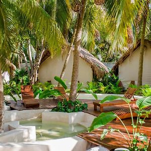 Serena Tulum - Adults Only